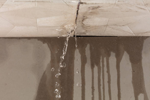 Professional Water Damage Inspection technician working in Lyons, GA